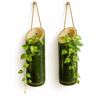 Wall Hanging Bamboo Planters with Green Vines