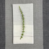 Handloom Dinner Napkins — Striped