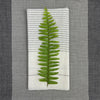 Handloom Dinner Napkins — Striped