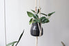 Macrame Plant Hanger, Handmade Cotton Rope with Copper